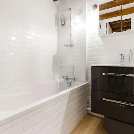 Le Duplex Central Tout Equipe Lejlighed Toulouse